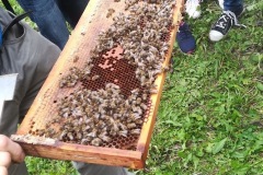 Návštěva CLA v Trutnově