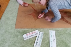 Práce ve třídách