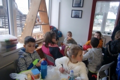 Předvánoční exkurze