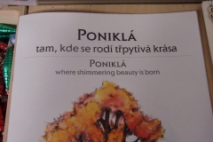 Předvánoční exkurze