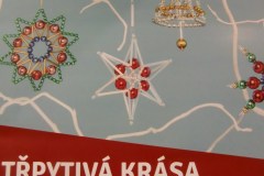 Předvánoční exkurze