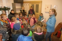 Předvánoční exkurze