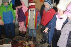 Předvánoční exkurze