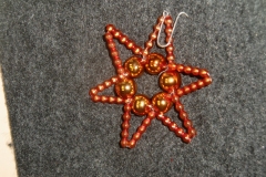 Předvánoční exkurze