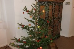 Předvánoční exkurze