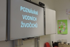 Projekt Život pod vodou