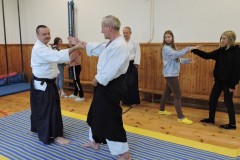 Japonské sporty - aikido