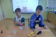 Co naše babičky uměly