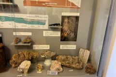 Exkurze do Černého Dolu