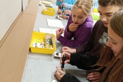 Fyzika v 6. třídě