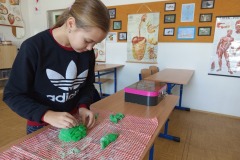 Přírodověda v 5. A
