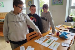 Českem kraj po kraji