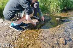 Přírodověda v 5. A