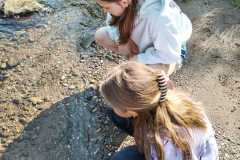 Přírodověda v 5. A