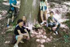 Přírodověda v 5. A