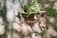 Přírodověda v 5. A