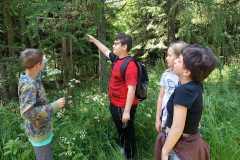 Přírodověda v 5. A