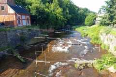 Přírodověda v 5. A