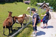 Krakonošova zpovědnice