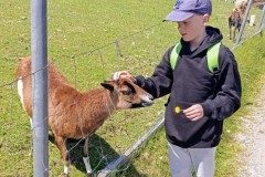 Krakonošova zpovědnice