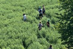 Cykloturistický výlet