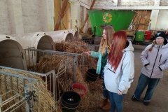 Deváťáci v Hořicích