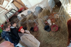 Deváťáci v Hořicích