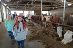 Deváťáci v Hořicích