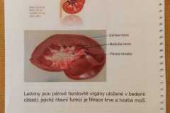 Přírodověda v 5. třídě