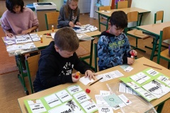 Projekt sv. Václav